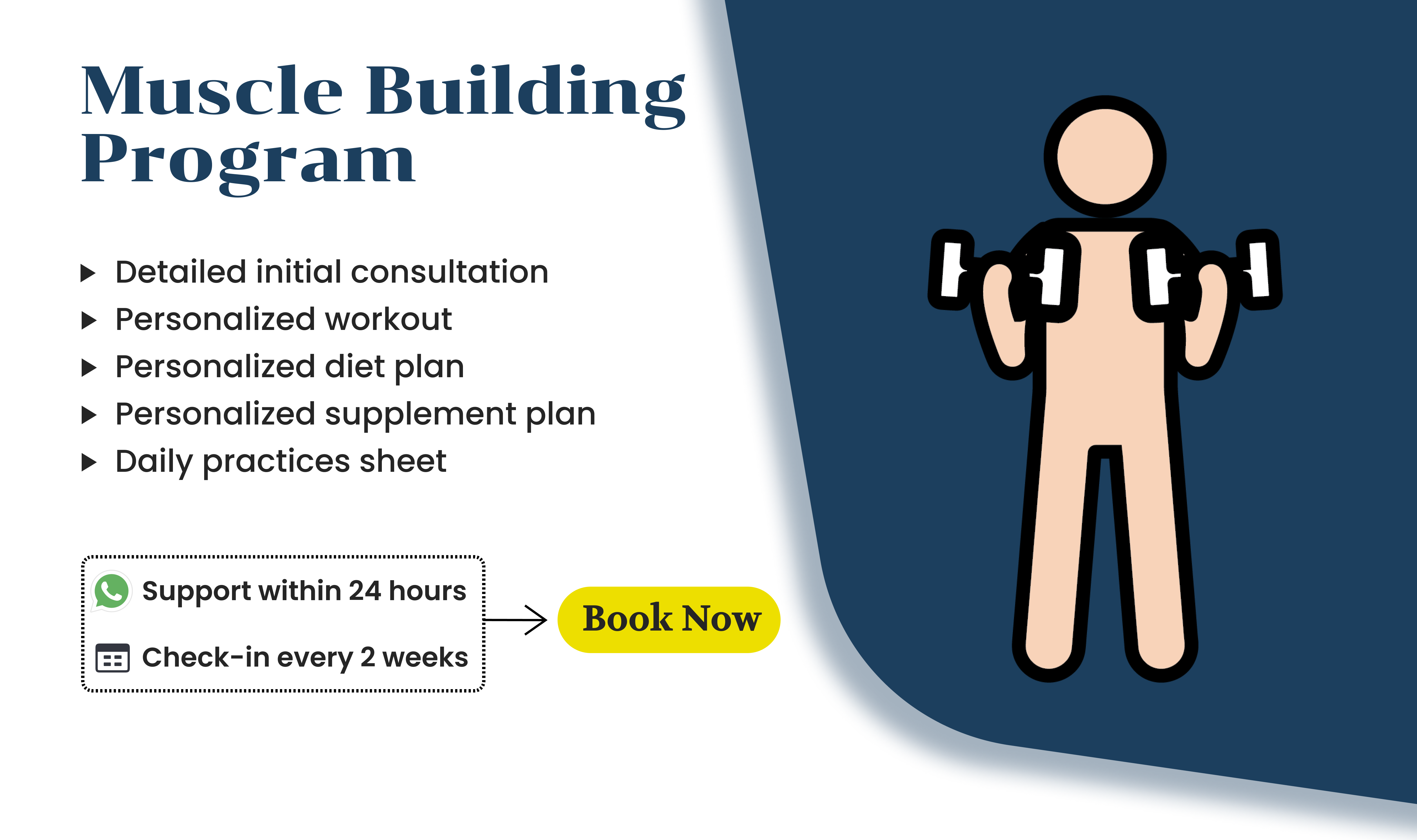 Muscle Building FINAL