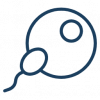 sperm